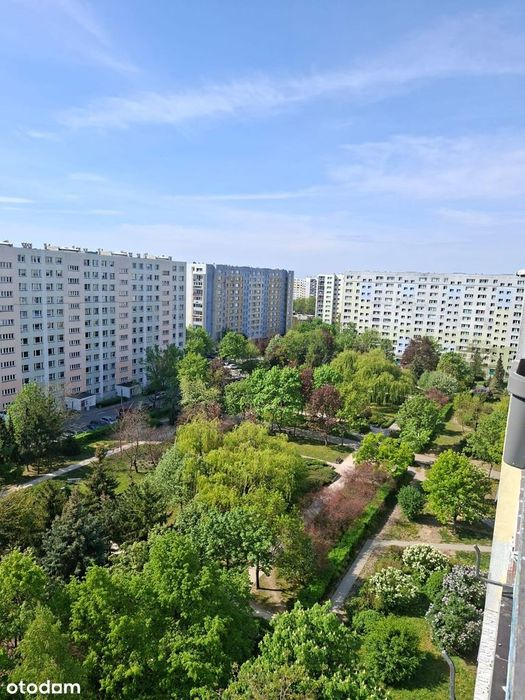 2-pokojowe mieszkanie z widokiem na Ogród Botaniczny – Retkinia