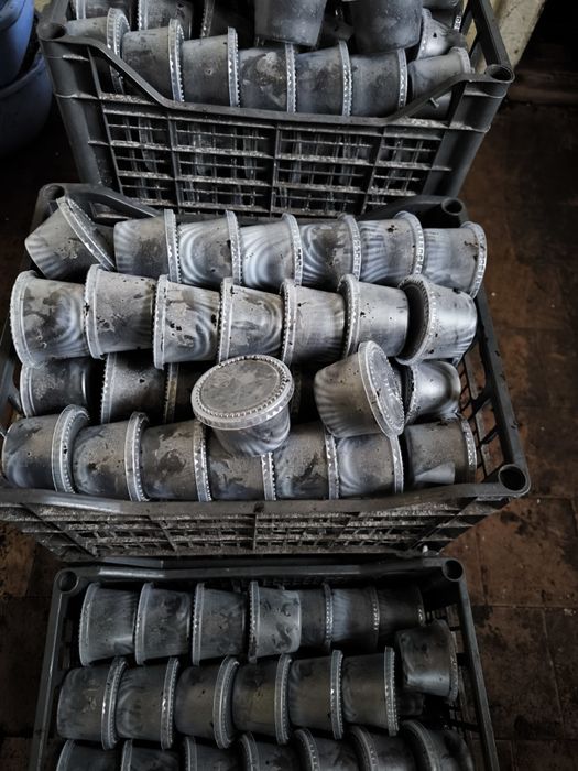 Дендра. Черв'як. опт