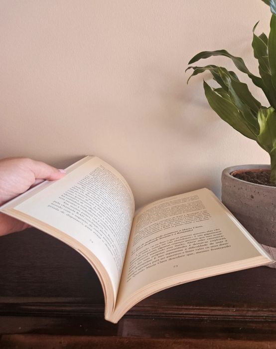 O bom conflito, Maria Tereza Maldonado