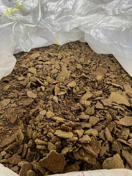 Makuch z pestek dyni / 46% BIAŁKO