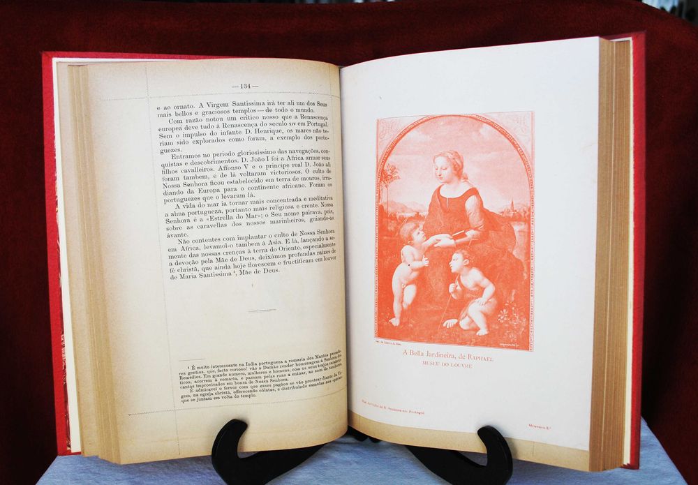 Historia do Culto de Nossa Senhora em Portugal de 1899