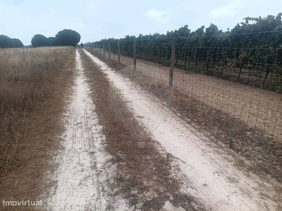 Terreno  para venda — Palmela, Setúbal