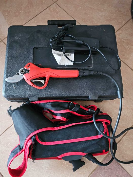 Sekator elektryczny swansoft WS KH-GO4