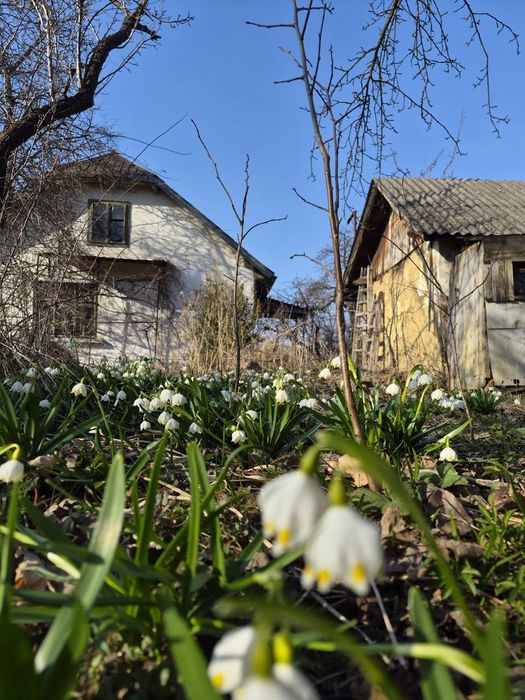 Будинок з земельною ділянкою