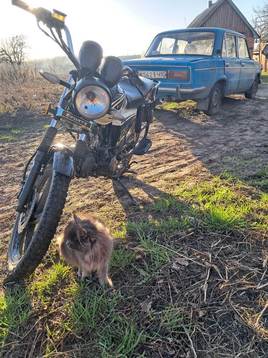 Продам Альфа Forte 125 БЕЗ ТОРГА