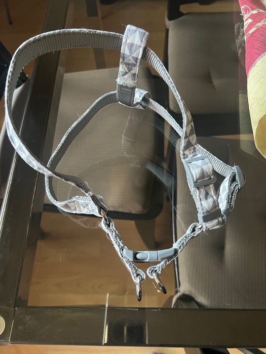 Coleira e Arnês para cão