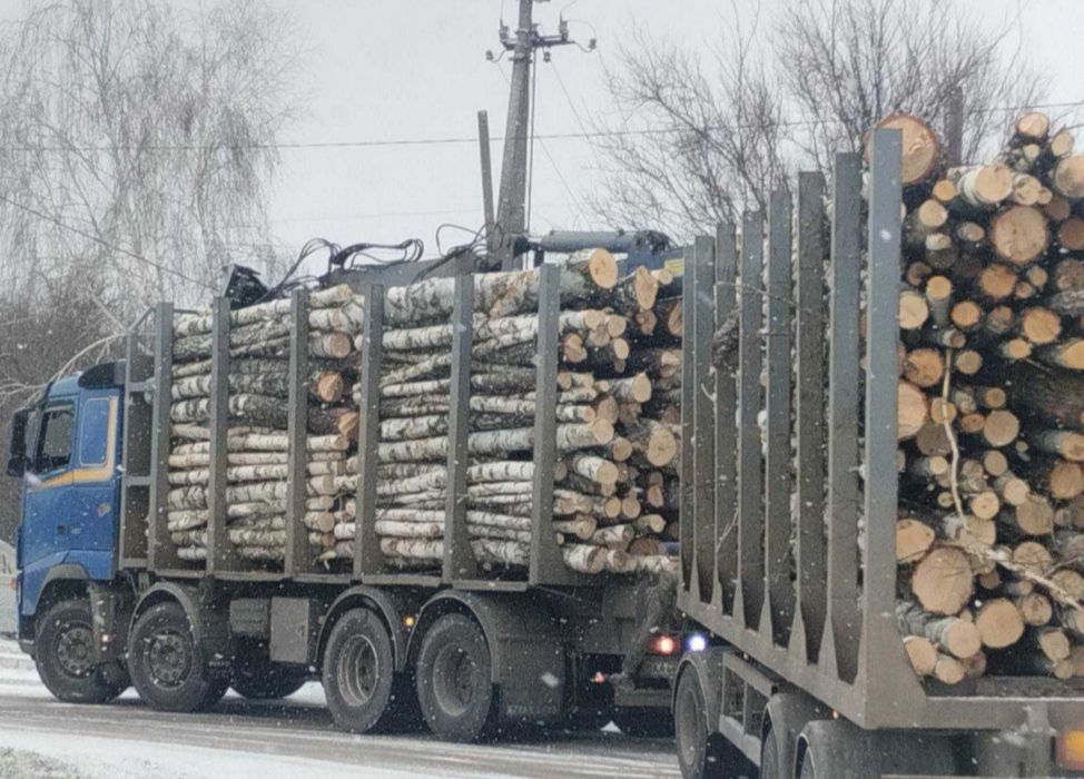 Без передплат і посередників. Дубові дрова. (4-15 м3)