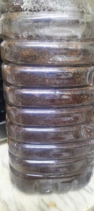 Borras de café .