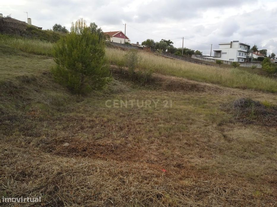Terreno na Batalha | 1300m2