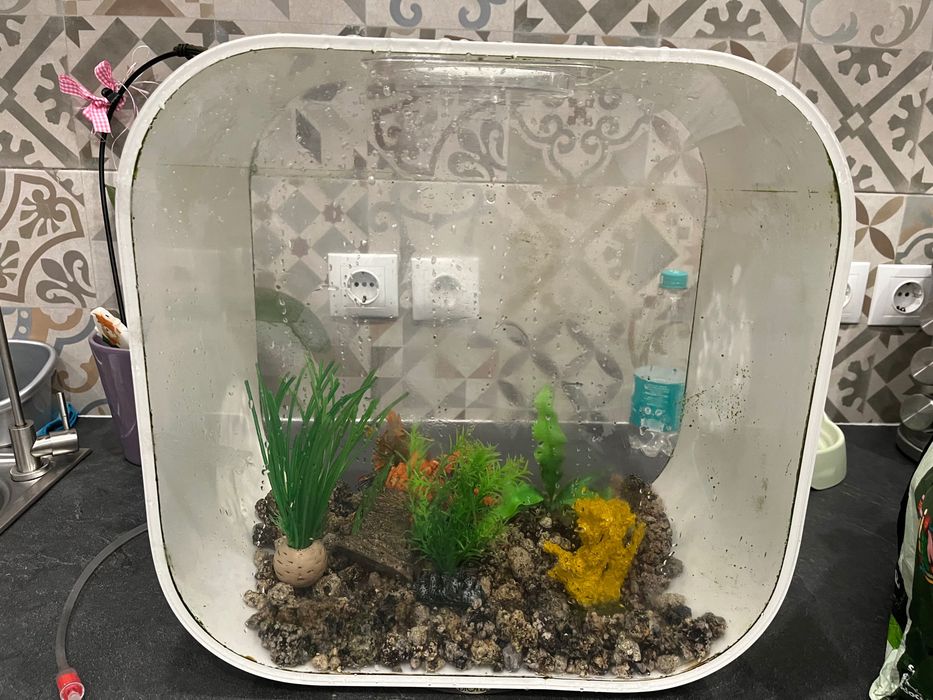 Aquário para peixes