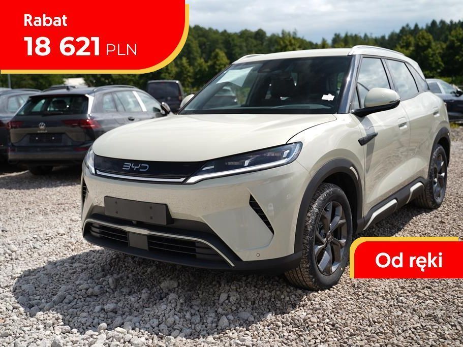 BYD Pozostałe BYD