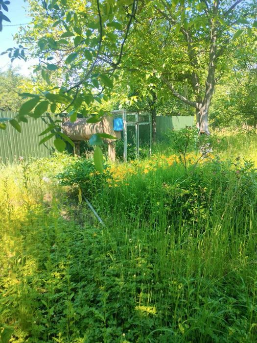 Продам  приватизовану земельну ділянку і дачу