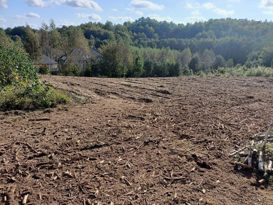 Czyszczenie działek wycinka drzew niwelacje rekultywacja  mulczer