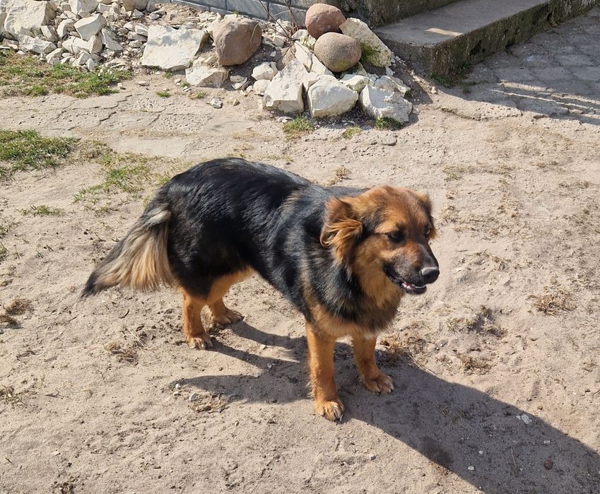 Oddam w dobre ręce.