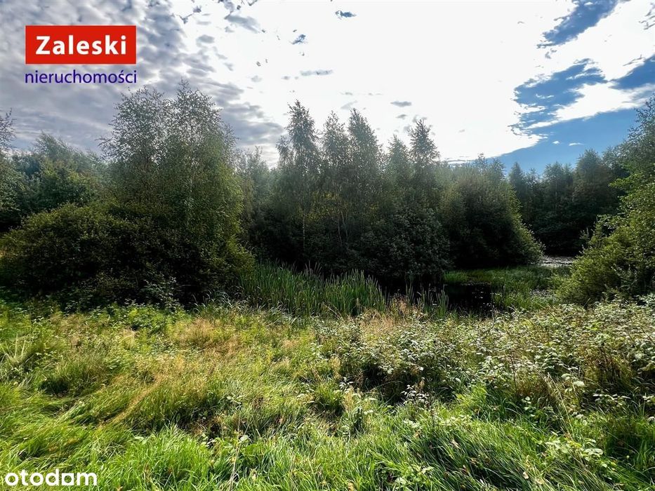 Działka pod agroturystykę lub własną oazę spokoju.