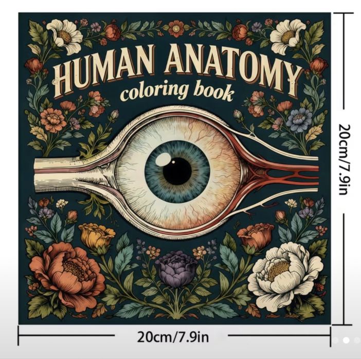 Розмальовка Human anatomy