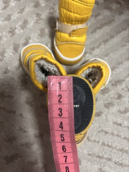 Чобітки для маленького песика