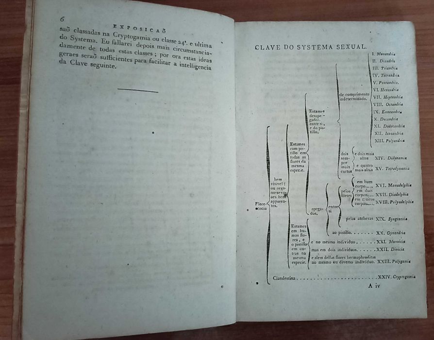 Compendio de Botanica por Felix Avellar Brotero, Tomo Segundo (1788)