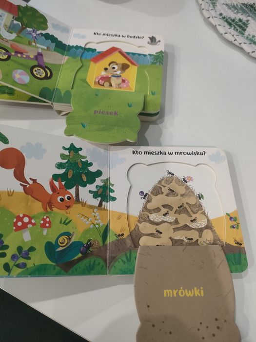 Co kryją okienka? Na wsi i w lesie