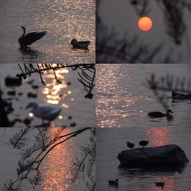 Супертелеоб'єктив Lightdow 420-800 мм для всіх дзеркальних камер