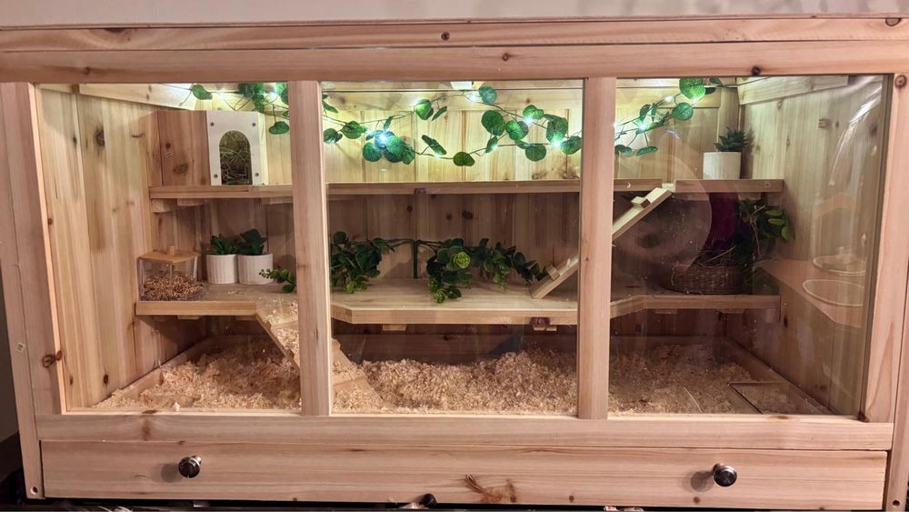 Klatka dla gryzonia chomika