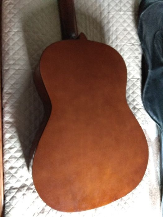 Viola64750640032642123