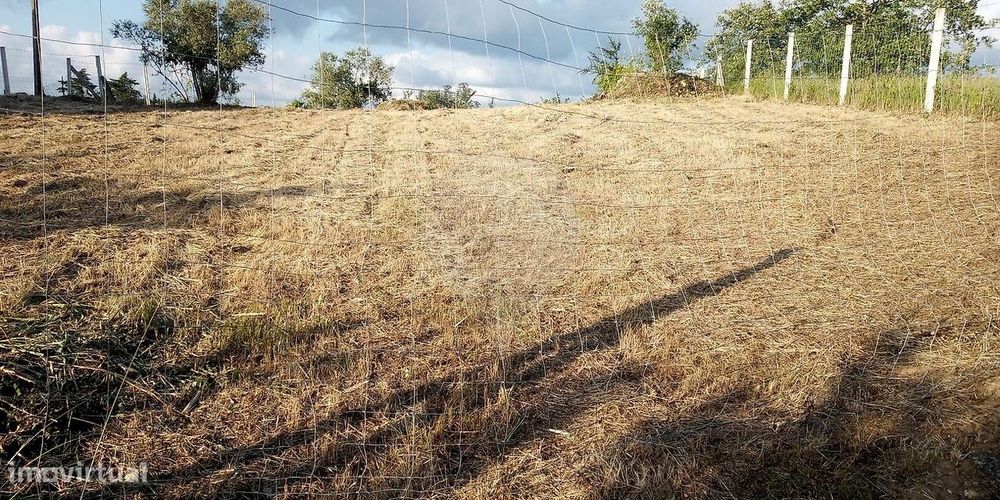 Terreno  para venda