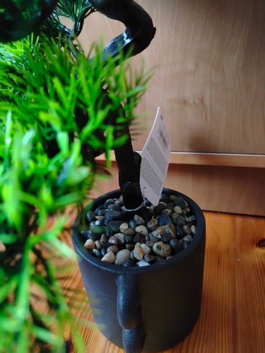 Drzewko bonsai z Pepco