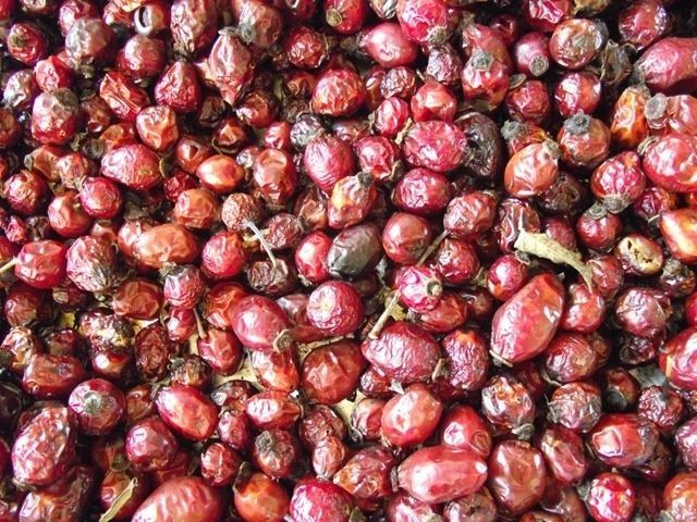 Dzika róża suszona owoce 1 kg zbiór Sudety / Bieszczady