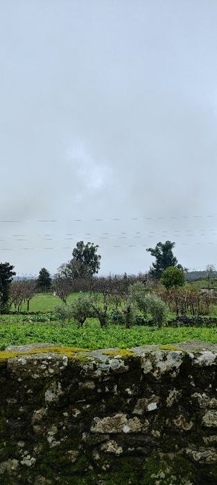 Moradia T3 à venda em Carregal, Sernancelhe — foto 8