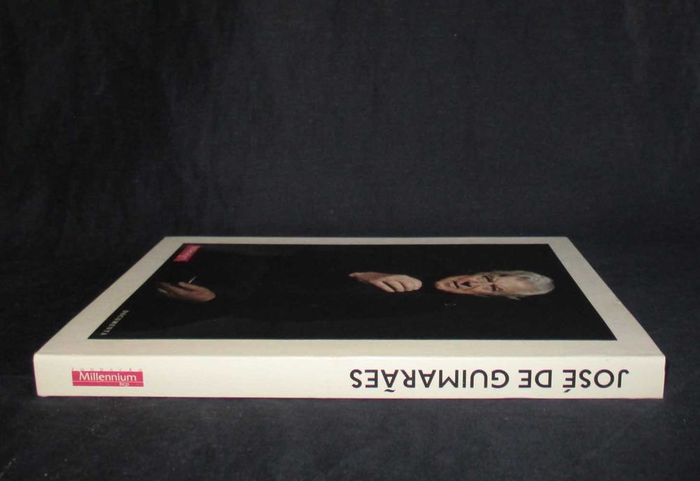 Livro P de Pop Pintura e Poster José de Guimarães