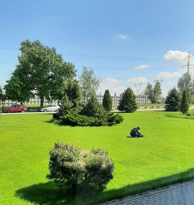 Скарификация газона, покос травы, покос газона, аэрация. ДНЕПР
