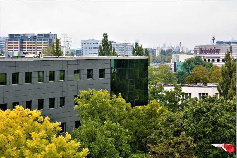 Zdjęcie 8