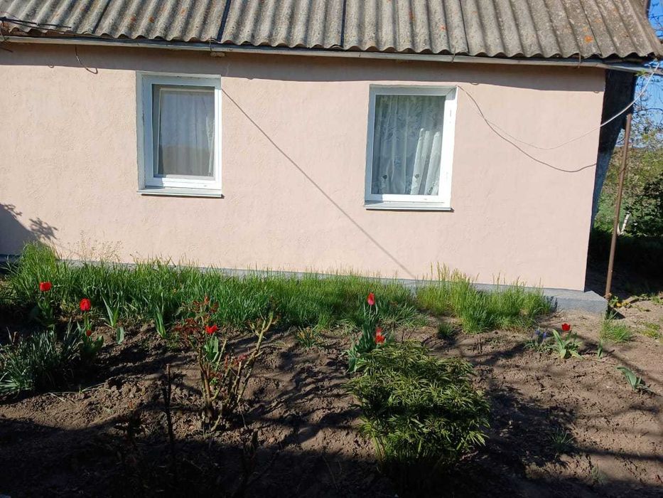 Продам будинок с.Збараж, Козятинський р-н, Вінницька обл.