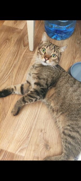 Хлопець з приданим шукає дім