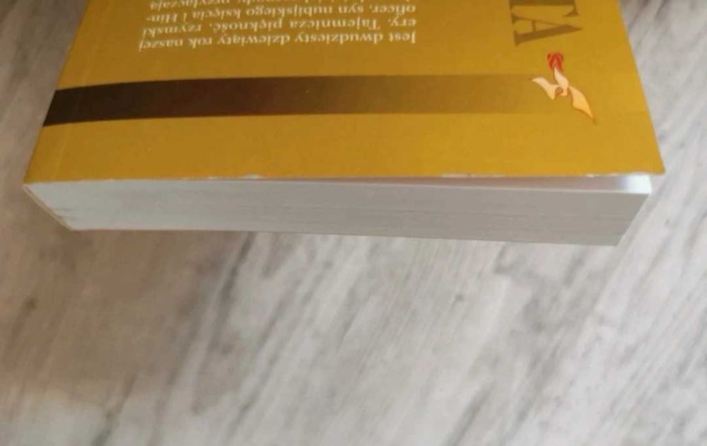 Kochanka Piłata - Gisbert Haefes