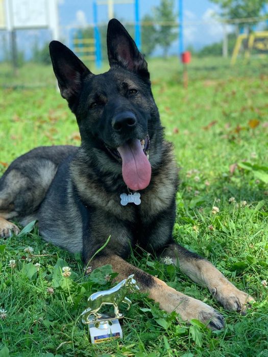 Шукаємо дівчинку для в’язки