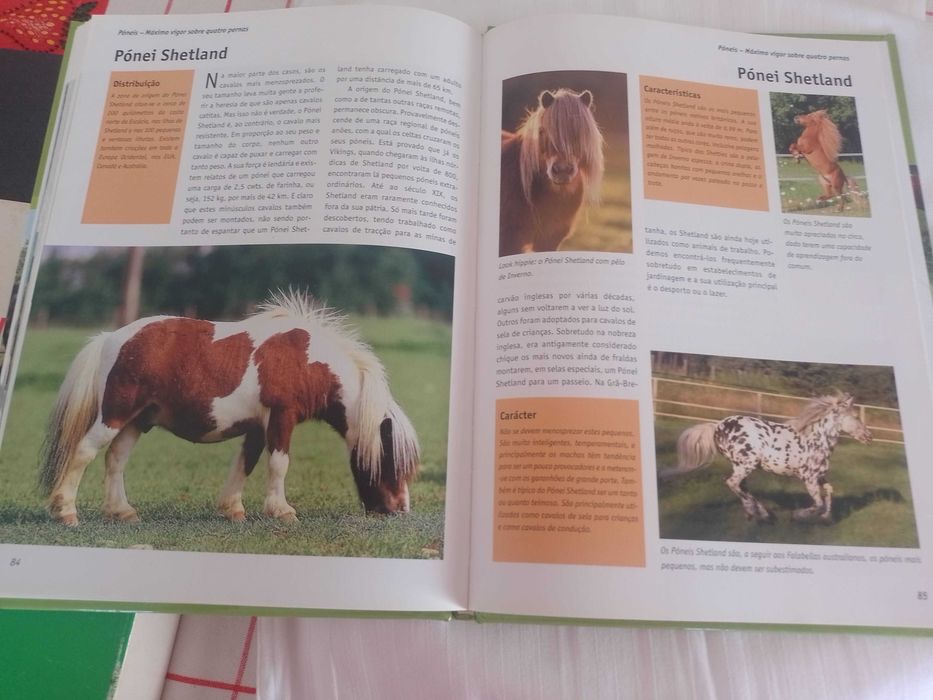 O grande manual dos cavalos