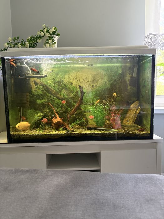 Akwarium 240 litrow