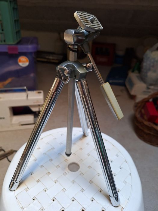 Viola Tripod - for Collectors64730002621187122
