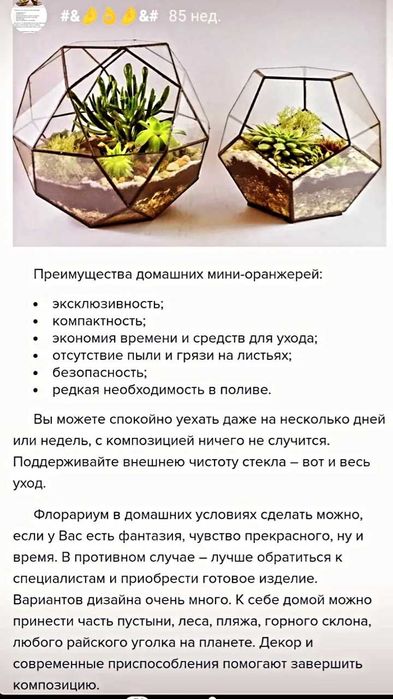 Декор,флористика