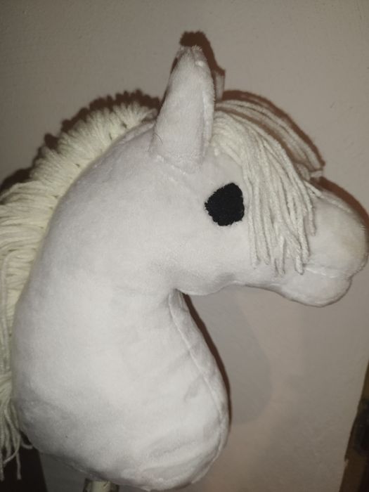 Hobby horse sport