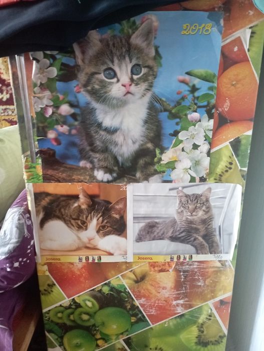 Віддам безкоштовно холодильник