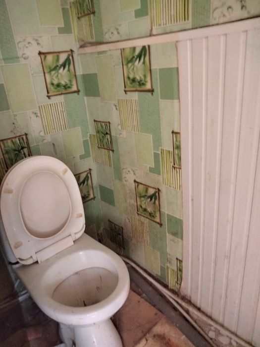 Міняю будинок ПТЗ або продам 31000 у.о
