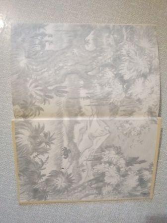 Майн Рид Всадник без головы