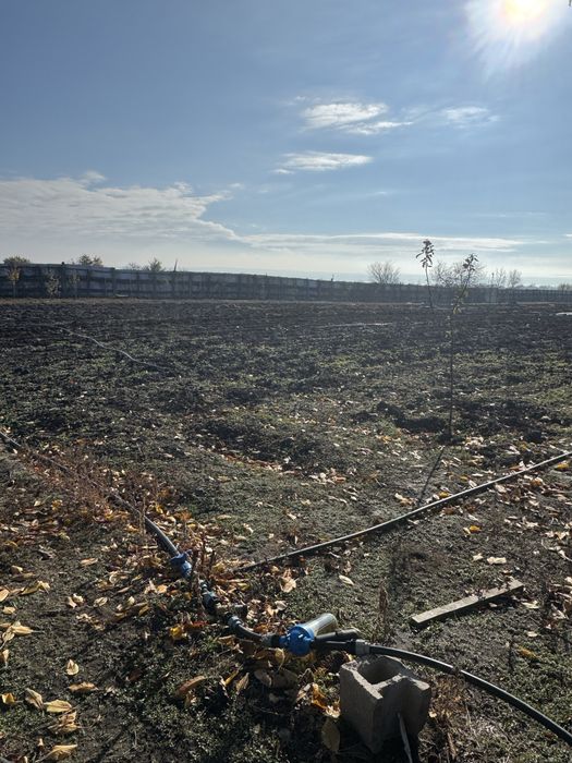 Оренда ферма/комерційна нерухомість/овоческлад/теплиці