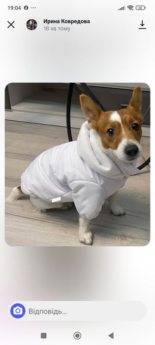 Зимова курточка для собак