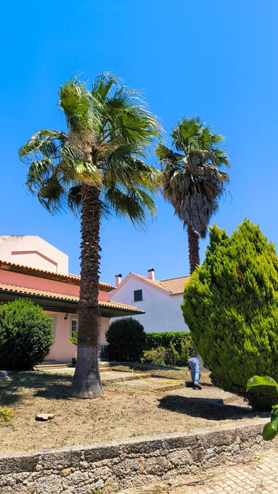 Limpeza de terrenos e jardins