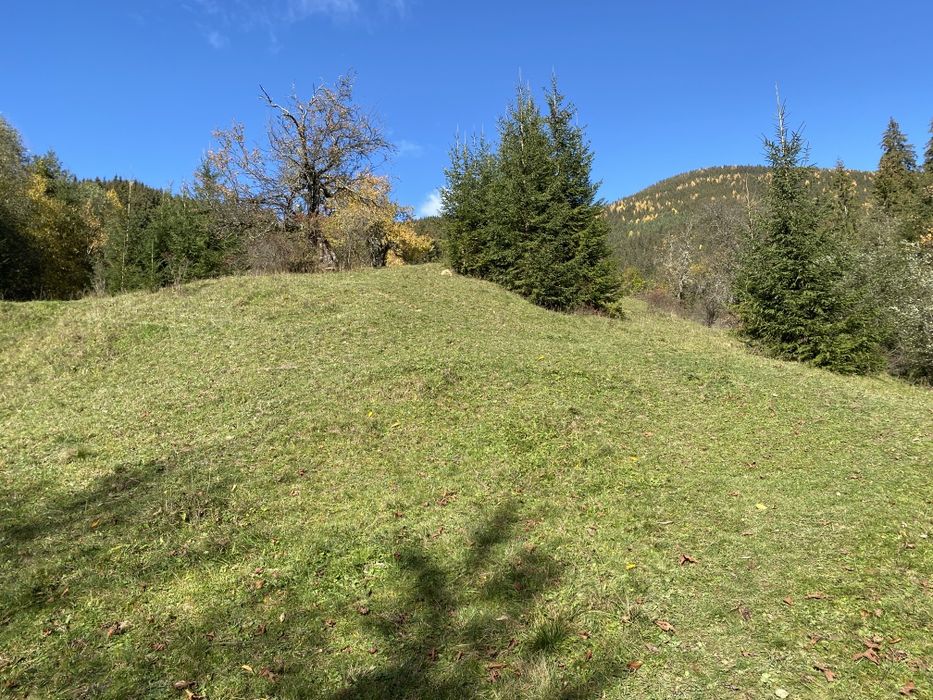 З двох сторін потічки. З трьох сторін дерева. Гарний заїзд