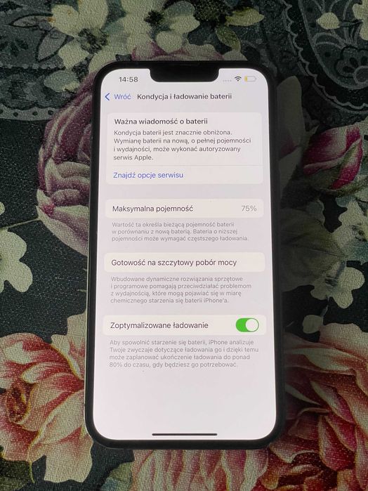 iPhone 13 Pro 256 GB